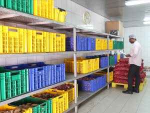 Our Facility